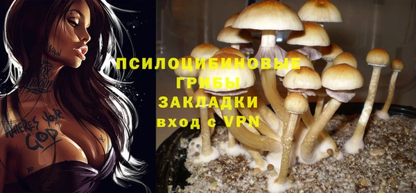 2c-b Аркадак