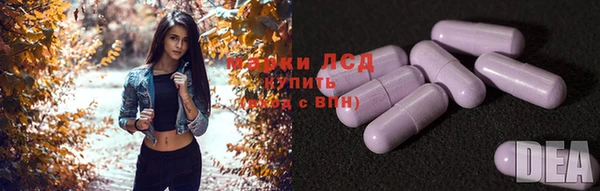 spice Арсеньев
